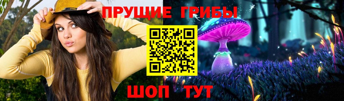 Красноперекопск  Галлюциногенные грибы мицелий  наркотики  Вход с VPN 
