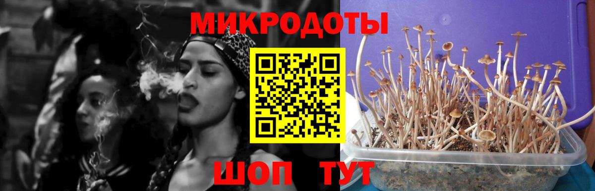 Галлюциногенные грибы GOLDEN TEACHER Красноперекопск